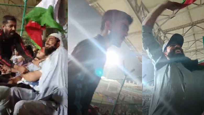 Video of cops snatching Palestine flags from spectators during PSL match draws ire