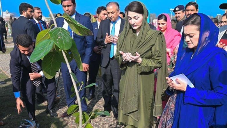 Pakistan sets world record by planting 109,000 saplings in 60 seconds
