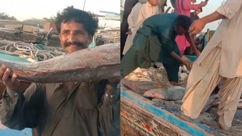 Karachi fishermen catch rare sowa fish worth Rs1.5 billion