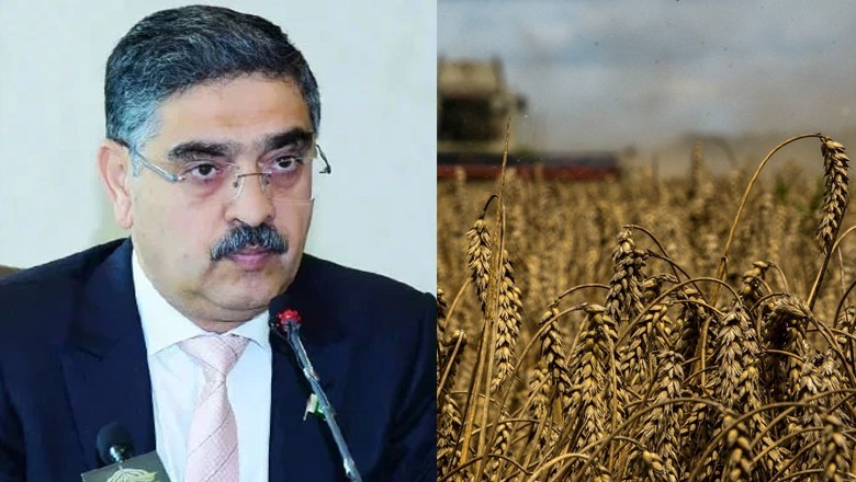Kakar shifts wheat import blame on former PTI government