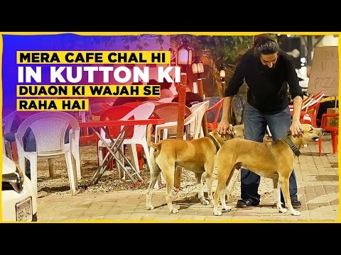 Man keeps street dogs as guards in his cafe