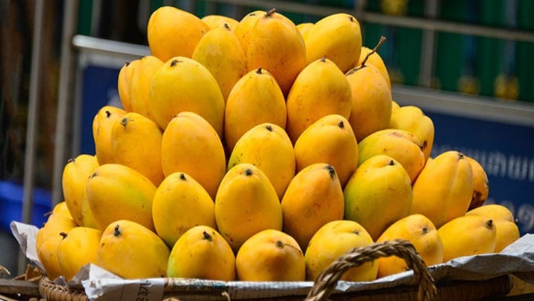 Climate change cuts Pakistan's mango production by 15%