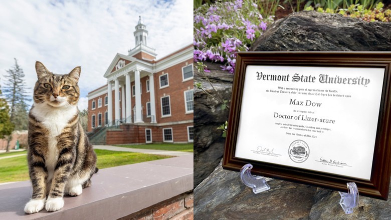 US university confers honorary PhD degree on a cat