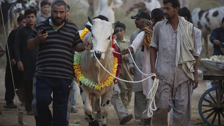 Pakistanis expected to enjoy five Eid-ul-Adha holidays this year