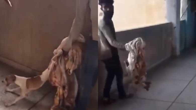 Men throw stray dog from building's top floor in Karachi