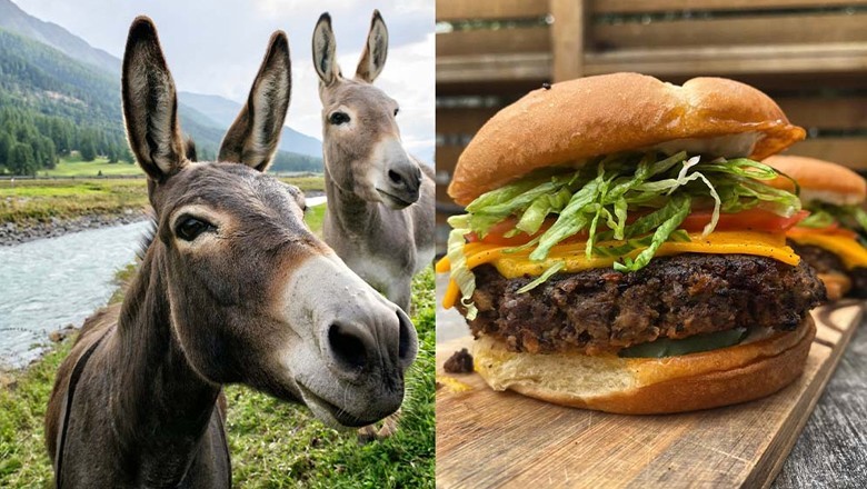 Pakistan to export donkey meat to China for popular burgers
