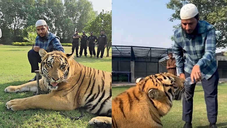 Dr Zakir Naik's son spends playful time with wild friend