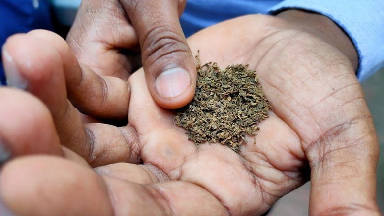 Woman commits suicide due to husband's gutka eating habit