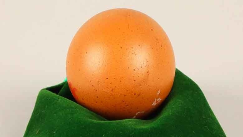 Rare spherical egg auctioned for £200 in UK
