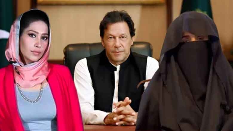 PTI slams journalist for speculating punishment for Imran Khan and Bushra Bibi in £190 million case