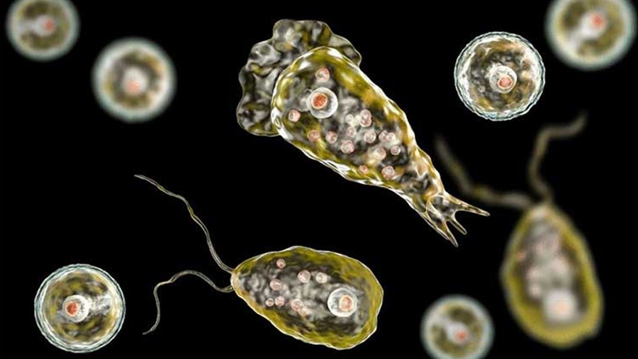 Karachi man dies from brain-eating amoeba; second Naegleria death in Pakistan this year
