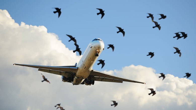 Air India aircraft appears to have crashed after colliding with multiple birds: Ex-pilots