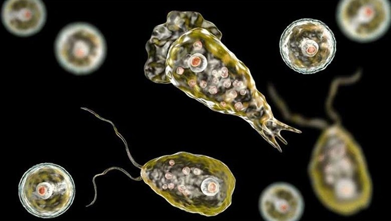 Brain-eating amoeba claims another life in Karachi