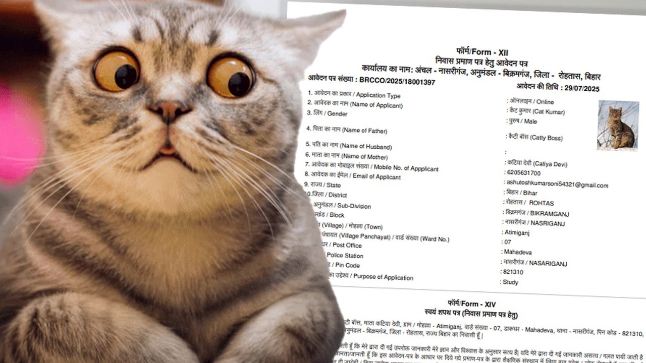 After 'Kutta Babu', 'Cat Kumar', son of 'Catiya Devi', seeks residential certificate in India