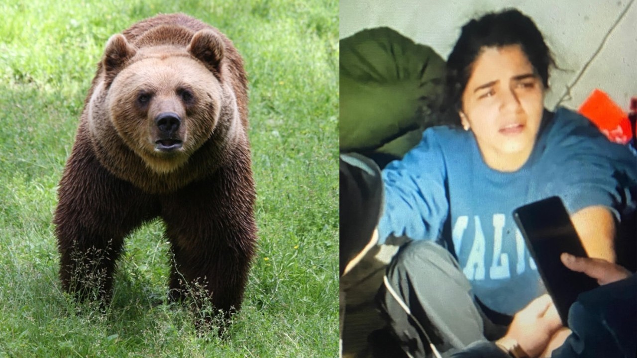 Private camping banned in Deosai National Park after singer injured in bear attack