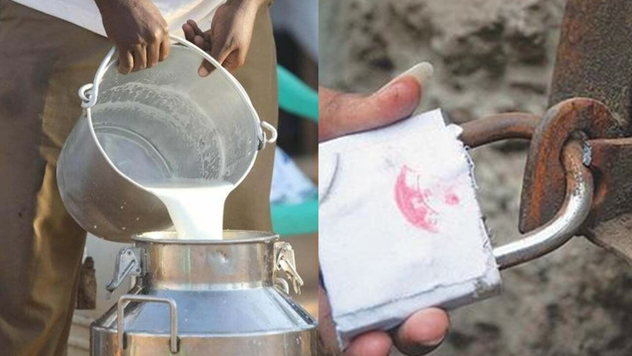 Karachi authorities seal seven more shops over sale of adulterated milk