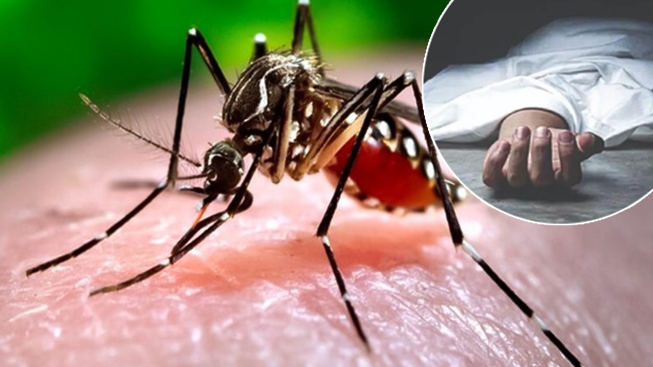 Dengue death toll in Sindh rises to 21, over 9,600 infected across province