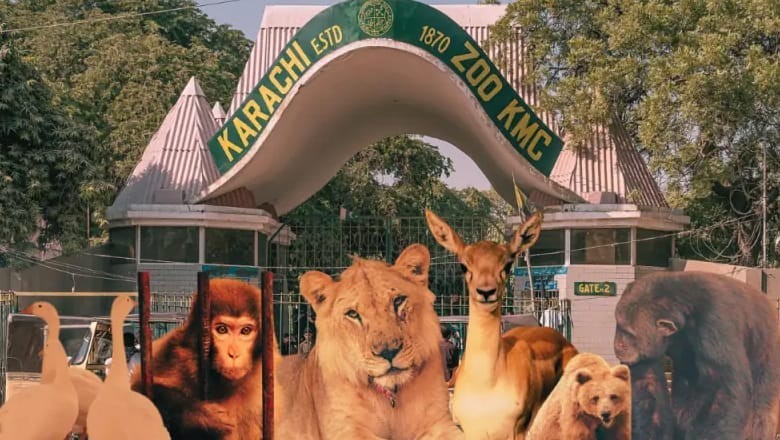 15 animals born at Karachi's Safari Park