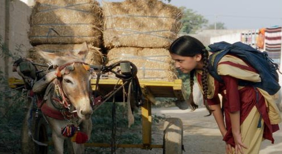 Pakistanis rescued as Myanmar cracks down on online fraud centres