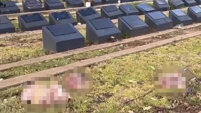Muslim graveyard desecrated with severed pig heads in Australia