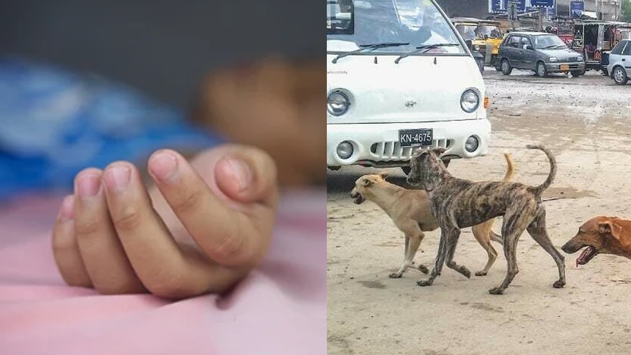 Boy from Jacobabad dies of rabies in Karachi