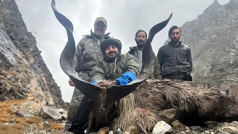Russian national hunts rare Markhor in Chitral for $68,000