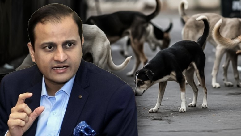 Mayor backs dog culling as Karachi sees spike in bite cases