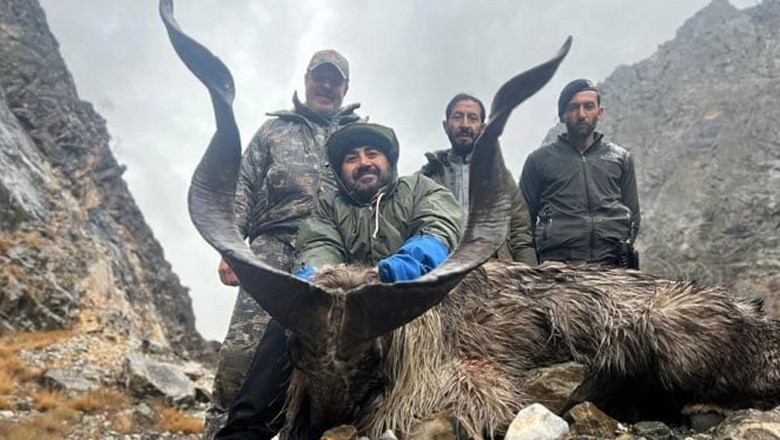US man pays $270,000 to hunt Kashmiri Markhor in Chitral