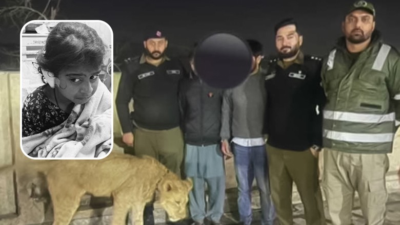Pet lioness attacked and injured an eight-year-old girl in Lahore