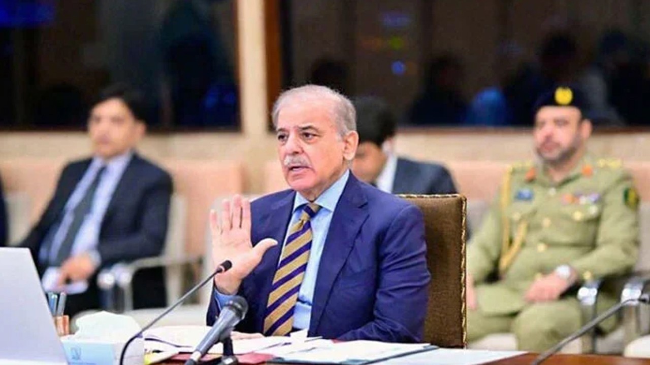 PM Shehbaz directs establishment of Danish school, special economic zone in Karachi