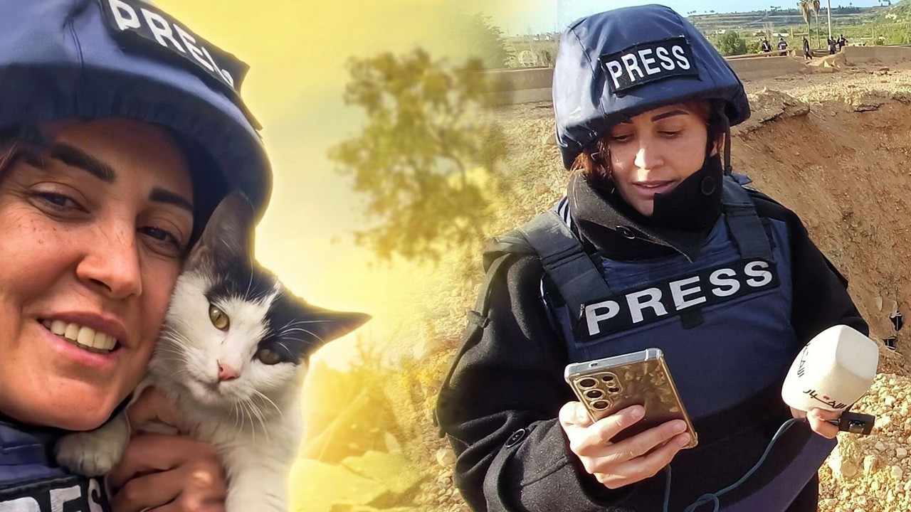 Amal Khalil: a fearless journalist and compassionate animal rescuer, remembered as a true warrior