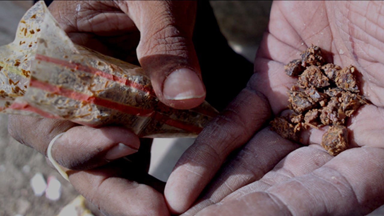 Crackdown efforts fail to curb gutka use in Sindh