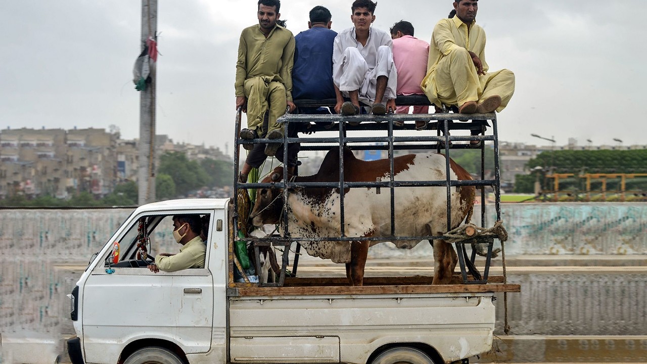 Ban imposed on entry of vehicles loaded with sacrificial animals on motorways