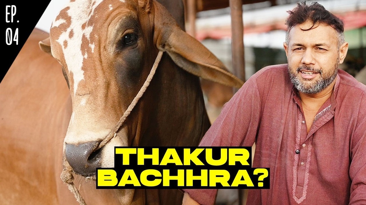 “Thakur is like our child”: Man opens up about bond with sacrificial animal in Karachi