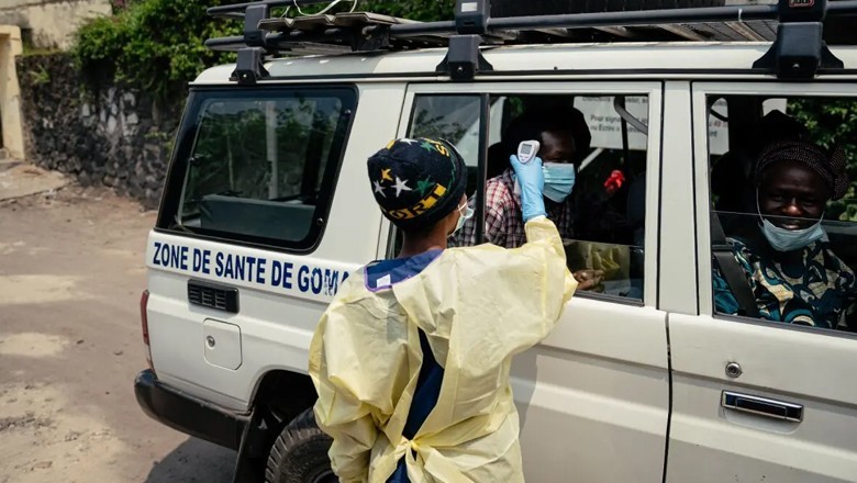 What do we know about the rare Ebola virus strain
