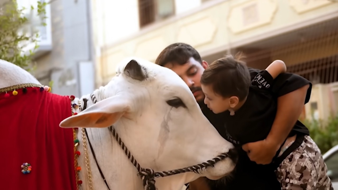 “I treat them like my own children”: Man shares his emotional bond with sacrificial animals