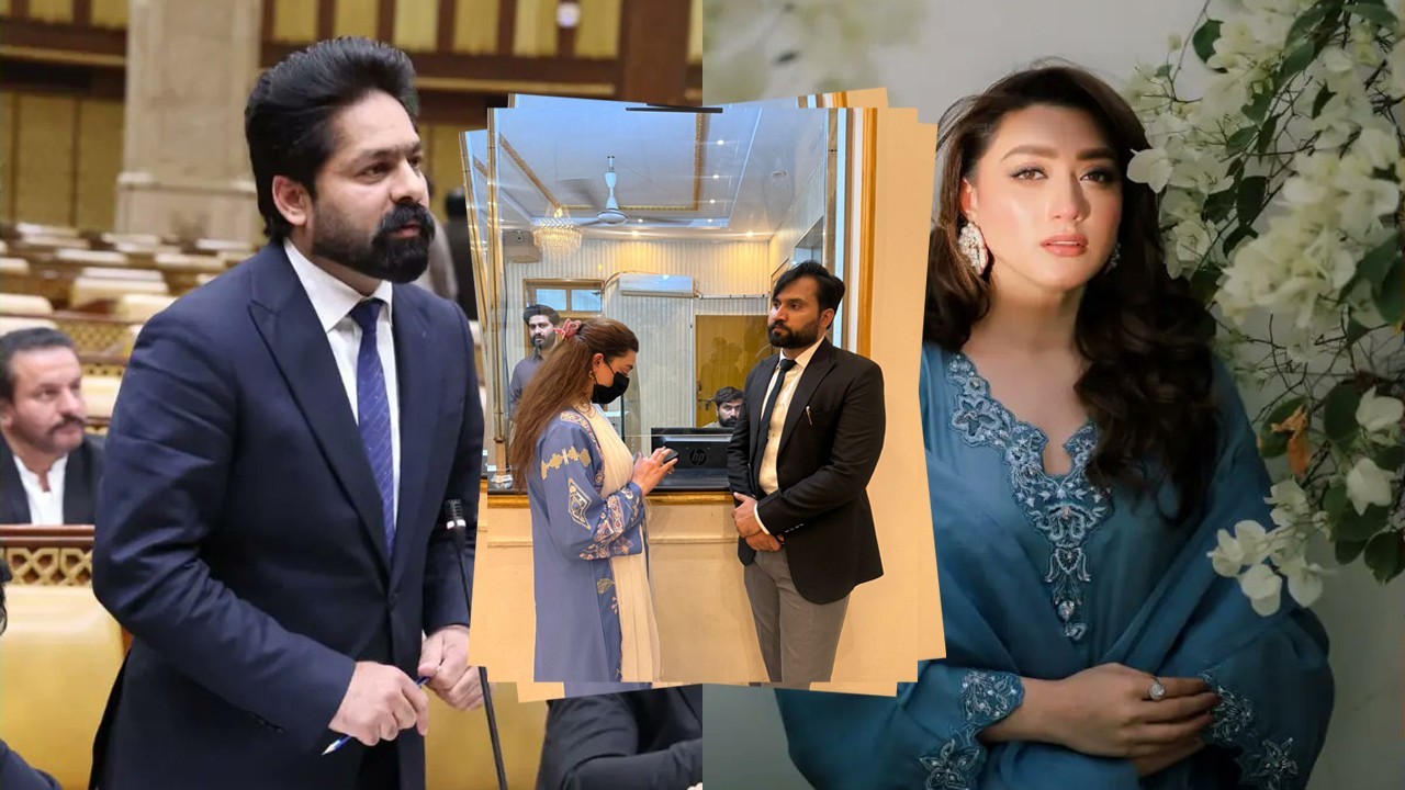 Momina Iqbal seeks FIR against PML-N MPA over 'harassment and threats'
