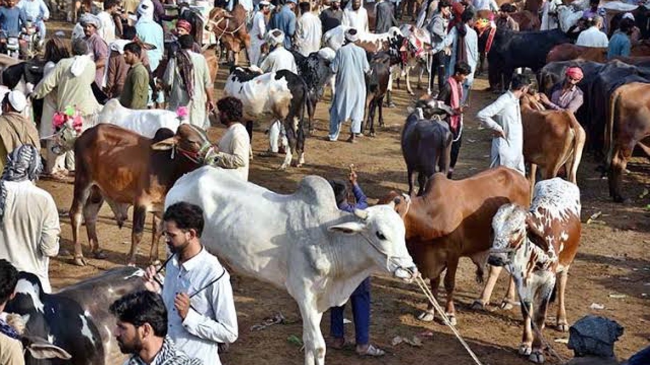 Animal prices surge amid rising inflation ahead of Eid