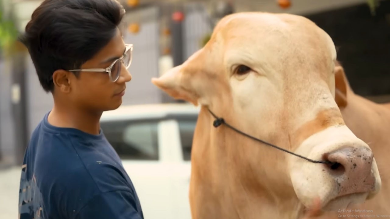 “Masoom hai magar nakhre bhi hain”: Man’s emotional bond with his sacrificial animal Tiraz
