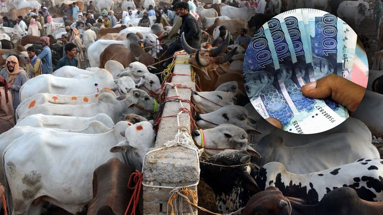 Thief steals sack containing Rs11.5 million of trader at Karachi cattle market