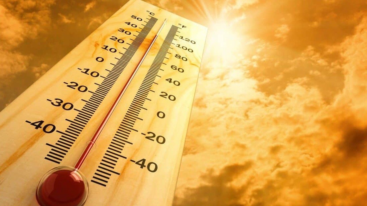 Europe’s latest heatwave ‘most severe on record,’ study says