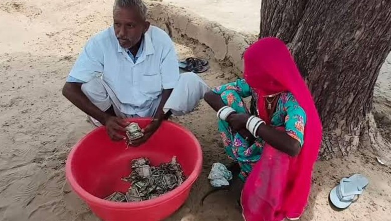 Termites destroy farmer’s buried savings after nearly a year