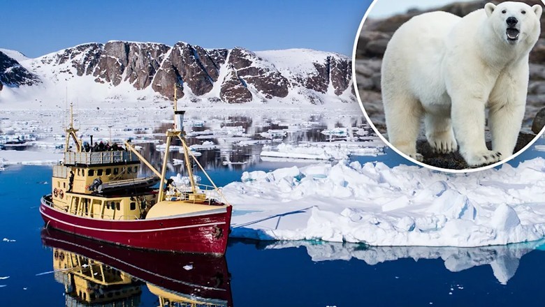 Norway fines boat crew $5,255 for waking sleeping polar bear