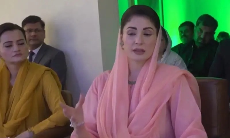 Punjab at greater threat from other provinces than neighbouring countries: CM Maryam