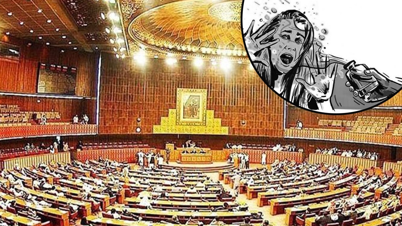 Senate panel approves bill proposing death penalty over acid attack