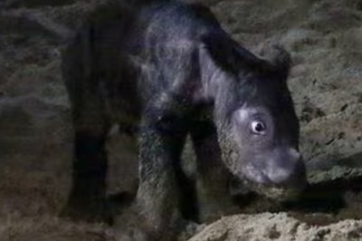 25 کلو کے ’بچے کی پیدائش‘ پر ماہرین حیران