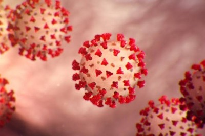 کورونا کیوجہ سے 'کپتان' انتقال کرگئے