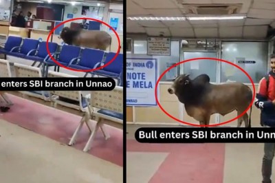 اسٹیٹ بینک میں بن بلائے مہمان کو دیکھ کر سب کے ہوش اڑ گئے، ویڈیو دیکھیں