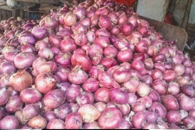 پیاز نایاب، فی کلو قیمت 240 سے متجاوز