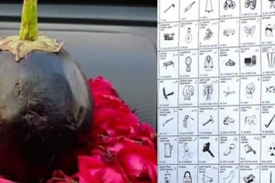 بینگن یا ہوائی جہاز کے انتخابی نشان سے فرق نہیں پڑتا، عدالت